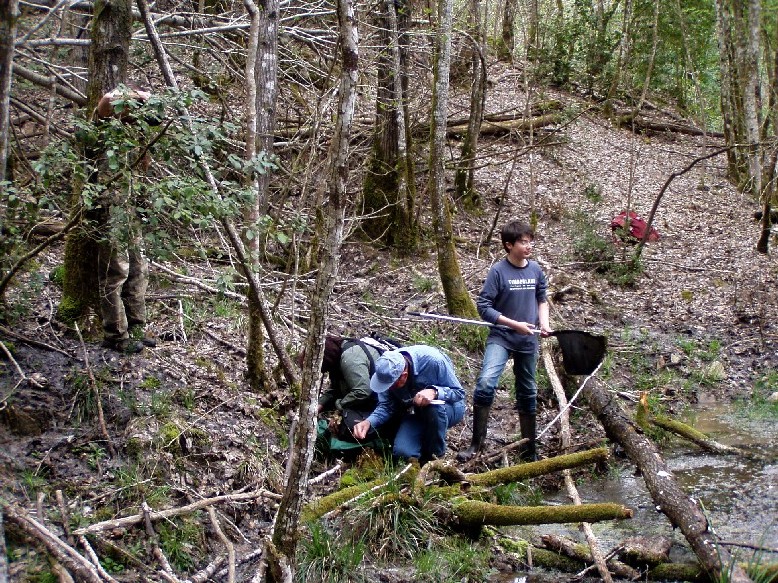 Valle del Farma e Stagno della Troscia: luoghi meravigliosi!